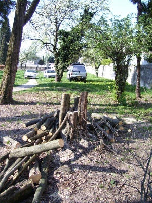 debut abattage arbres montelimar 28mars2012