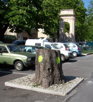 marroniers place republique