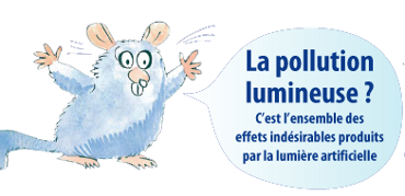 souris pollution lumineuse