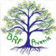 logo brf avenir